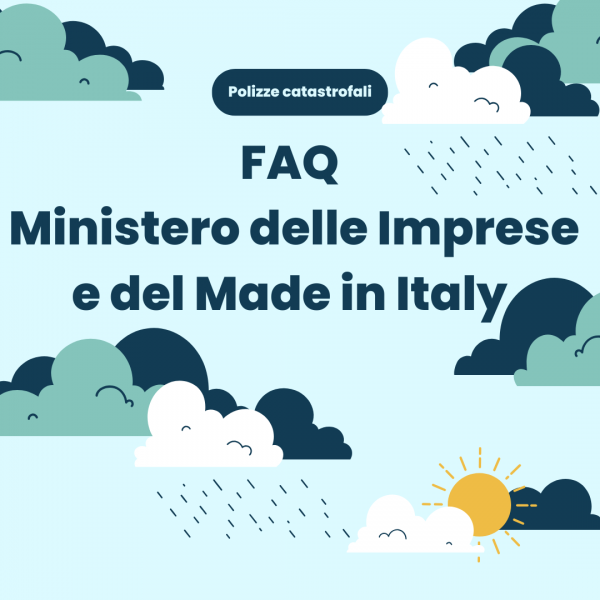 FAQ MIMIT